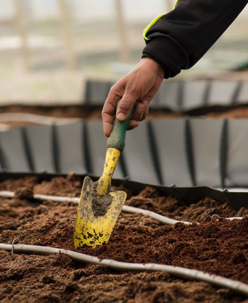 11 Herramientas de jardinería esenciales para principiantes