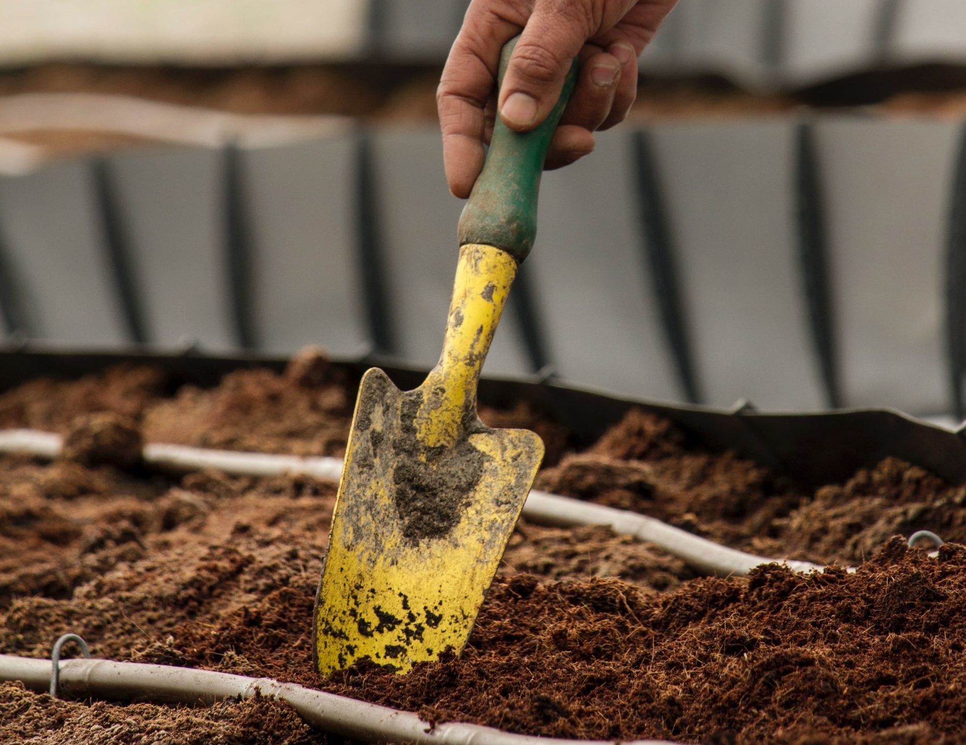 11 Herramientas de jardinería esenciales para principiantes